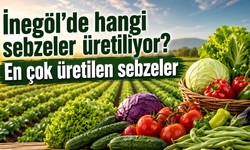 İnegöl’de hangi sebzeler üretiliyor?