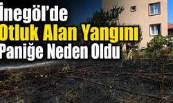 İnegöl’de Otluk Alan Yangını Paniğe Neden Oldu