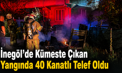 İnegöl’de Kümeste çıkan yangında 40 kanatlı telef oldu