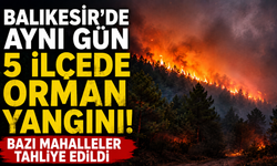 Balıkesir’de aynı gün 5 ilçede orman yangını! Bazı mahalleler tahliye edildi