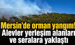 Mersin’de orman yangını! Alevler yerleşim alanları ve seralara yaklaştı