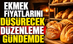 Ekmek Fiyatlarını Düşürecek Düzenleme Gündemde