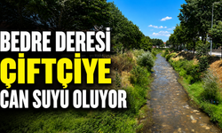 Bedre Deresi Çiftçiye Can Suyu Oluyor