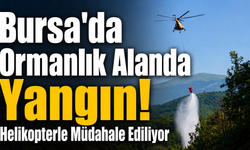 Bursa'da Ormanlık Alanda Yangın! Helikopterle Müdahale Ediliyor