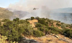 Aydın’daki Yangında 20 Ev İçin Tahliye Başlatıldı