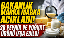 Bakanlık marka marka açıkladı! 20 peynir ve yoğurt ürünü ifşa edildi