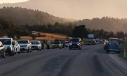 Bilecik’te Anız Yangını Ormana Sıçradı, Yollar Kapatıldı