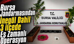Bursa Jandarmasından İnegöl Dahil 3 İlçede Eş Zamanlı Operasyon
