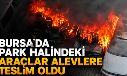 Bursa’da Park Halindeki Araçlar Alevlere Teslim Oldu