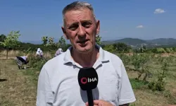 Bursa'da yüzlerce ton üretim yapan çiftçi soğuk hava deposu istiyor
