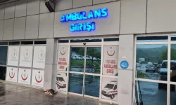 Eşek Arısının Soktuğu Kadın Yoğun Bakıma Kaldırıldı