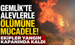 Gemlik’te alevlerle ölümüne mücadele! Ekipler yangın kapanında kaldı
