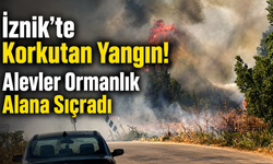 İznik'te Korkutan Yangın! Alevler Ormanlık Alana Sıçradı