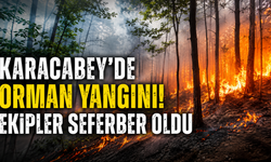 Karacabey’de Orman Yangını! Ekipler Seferber Oldu