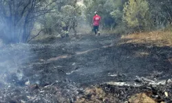 Mudanya’da Rüzgârın Büyüttüğü Yangın Kontrol Altına Alındı