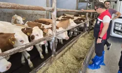 Orhaneli’nde Hayvancılık İşletmeleri Tek Tek Kontrol Edildi