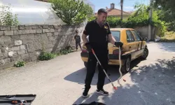 Otomobilin Altına Giren Yılanı İtfaiye Çıkardı