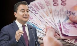 Babacan tarih verip hükümete kritik bir çağrıda bulundu