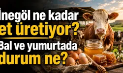 İnegöl ne kadar et üretiyor? Bal ve yumurtada durum ne