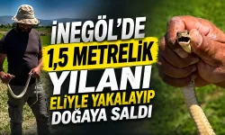 İnegöl’de 1,5 metrelik yılanı eliyle yakalayıp doğaya saldı