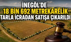İnegöl'de 18 bin 692 metrekarelik tarla icradan satışa çıkarıldı