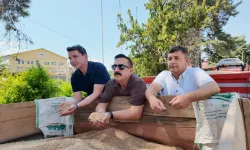 İnegöl’de Buğday Hasadı Başladı: 50 Bin Ton Rekolte Bekleniyor