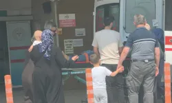 İnegöl’de Ihlamur Toplarken Ağaçtan Düştü