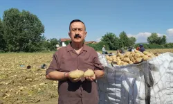 İnegöl'de Patates Hasadı Başladı! Başkan Sezai Çelik Herkesin Beklediği Rakamı Açıkladı