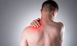 Omuzun En Hareketli Noktası Glenohumeral Eklem Nedir? İşte Bilmeniz Gerekenler