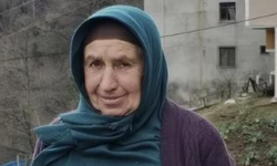 'Ot biçme' tartışmasında kan döküldü! Yengesini öldürdü, 2 kişiyi yaraladı