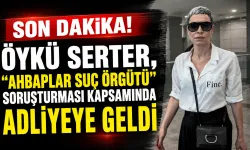 Öykü Serter, “Ahbaplar Suç Örgütü” soruşturması kapsamında adliyeye geldi