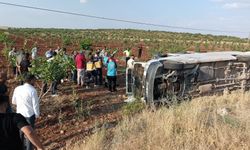 Şanlıurfa’da Tarım İşçilerini Taşıyan Minibüs Devrildi! Çok Sayıda Yaralı Var..