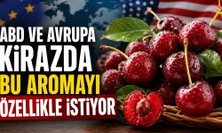 Sultandağı kirazına ABD ve Avrupa’dan yoğun talep: Rekolte 110 bin tona çıktı