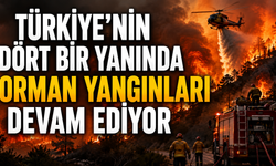 Türkiye’nin dört bir yanında orman yangınları devam ediyor