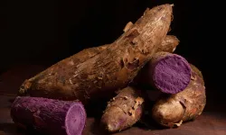 Ube Nedir, Faydaları Nelerdir? Mor Rengiyle Dikkat Çeken Bu Besin Neden Son Dönemde Bu Kadar Popüler?