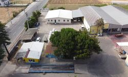Kulaca'da salça sezonu başladı