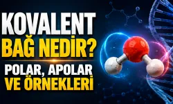 Atomları Birbirine Bağlayan Güç! Kovalent Bağ Nedir, Polar ve Apolar Bağ Arasındaki Fark Ne?