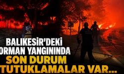 Balıkesir’deki Orman Yangınında Son Durum | Balıkesir'deki orman yangını neden çıktı? Tutuklamalar var...