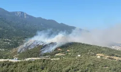 Bursa’da 3 farklı noktada orman yangını: Havadan ve karadan müdahale sürüyor
