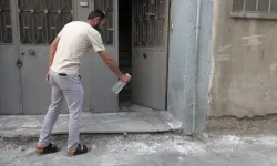 Bursa’da apartmandan 18 hayvan çıkarıldı: Mahalleyi pireler bastı