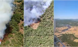 Bursa’da Kestel’deki Yangınlar Söndürüldü, Yenişehir’de Orman Yangını Başladı