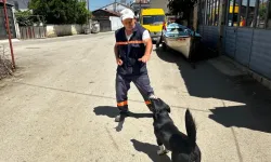 Bursa’da sahibini kaybeden “Dayı”ya 2 yıldır Yusuf Başaran sahip çıkıyor