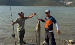 Bursa’da turna beklerken oltalarına 13 kiloluk yayın balığı takıldı