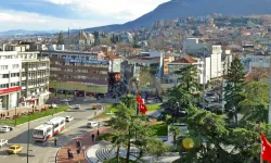 Bursa'nın o ilçesinde hayvan varlığı dudak uçuklatıyor! İşte rakamlar