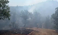 Büyükorhan’daki orman yangını kontrol altına alındı
