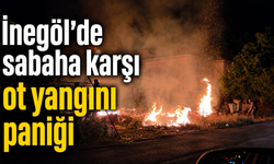 İnegöl’de sabaha karşı ot yangını paniği