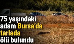 75 yaşındaki adam Bursa’da tarlada ölü bulundu