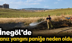 İnegöl'de anız yangını paniğe neden oldu