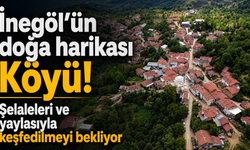 İnegöl’ün doğa harikası Köyü! Şelaleleri ve yaylasıyla keşfedilmeyi bekliyor