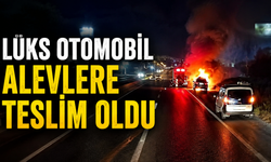 Bursa'da lüks otomobil alevlere teslim oldu